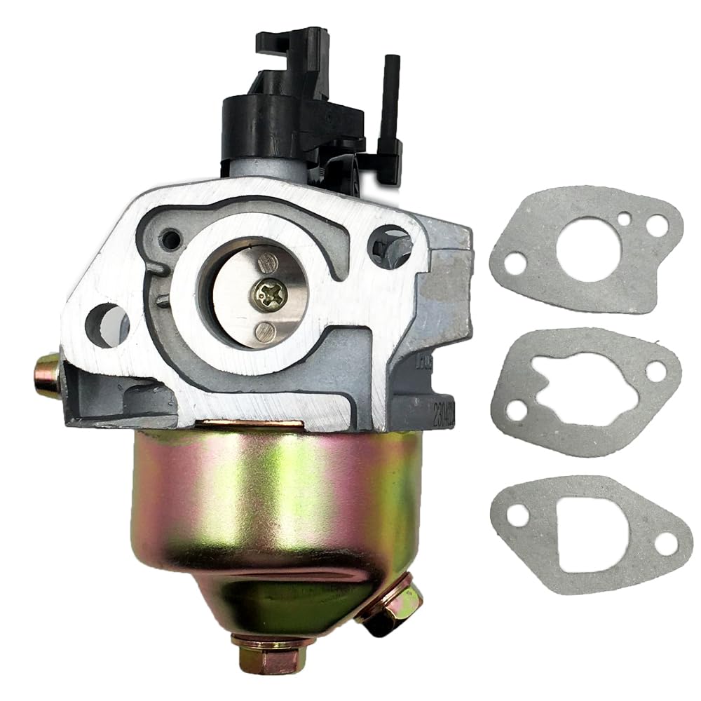 Amazon.com: LIZAPUS Huayi Carburetor Carb Compatible with For MTD