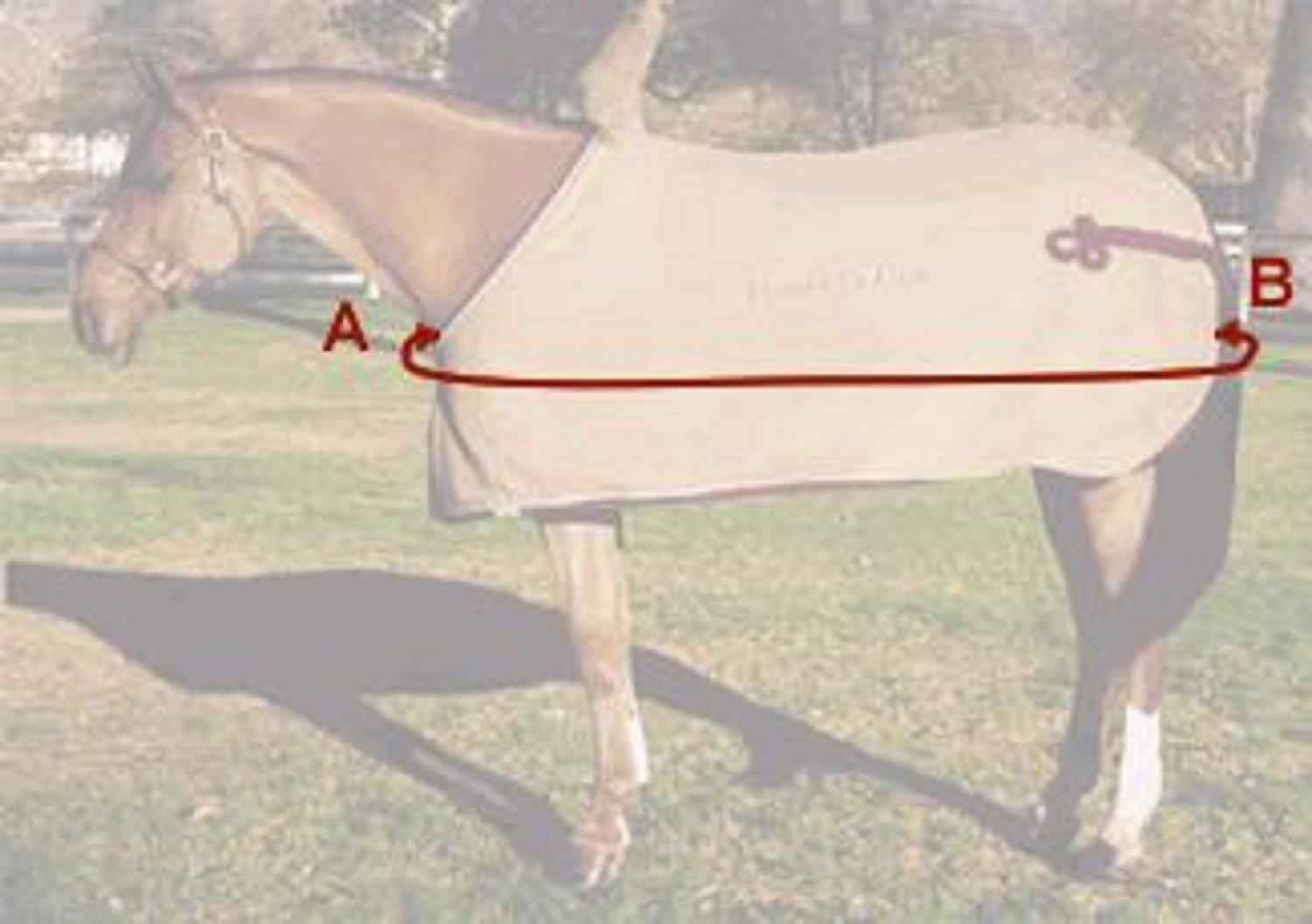 ミルポートTurnout 1680D Horse Winter Waterproof With Neck Cover Horse