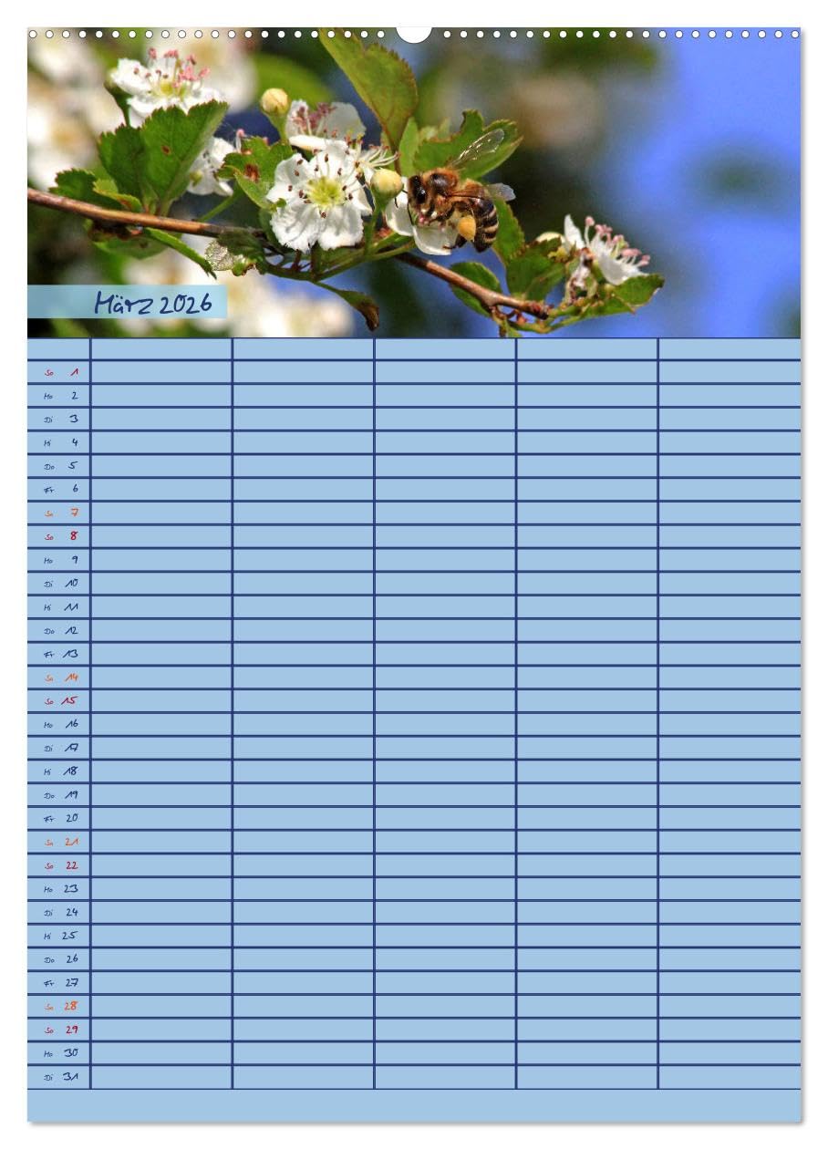 Tierischer Familienplaner (hochwertiger Premium Wandkalender 2026 DIN A2 hoch), Kunstdruck in Hochglanz: Deine tierische Hilfe beim Planen von Schule, Beruf, Haushalt und Freizeit (CALVENDO Tiere)