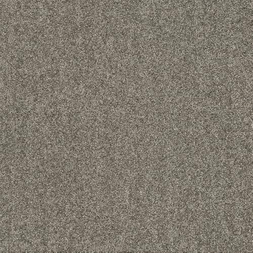 z^CJ[ybg ff2400 (R) t@ubNtA XNGA2400 g[Ή 􂢂ł h h_j 50×50cm 10 FF2415i[Xg[j