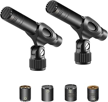 鈴木さん専用 2セット コンデンサーマイク Amazon.co.jp: ZeaLSound 鈴木さん専用 2セット コンデンサーマイク Amazon.co.jp: ZeaLSound