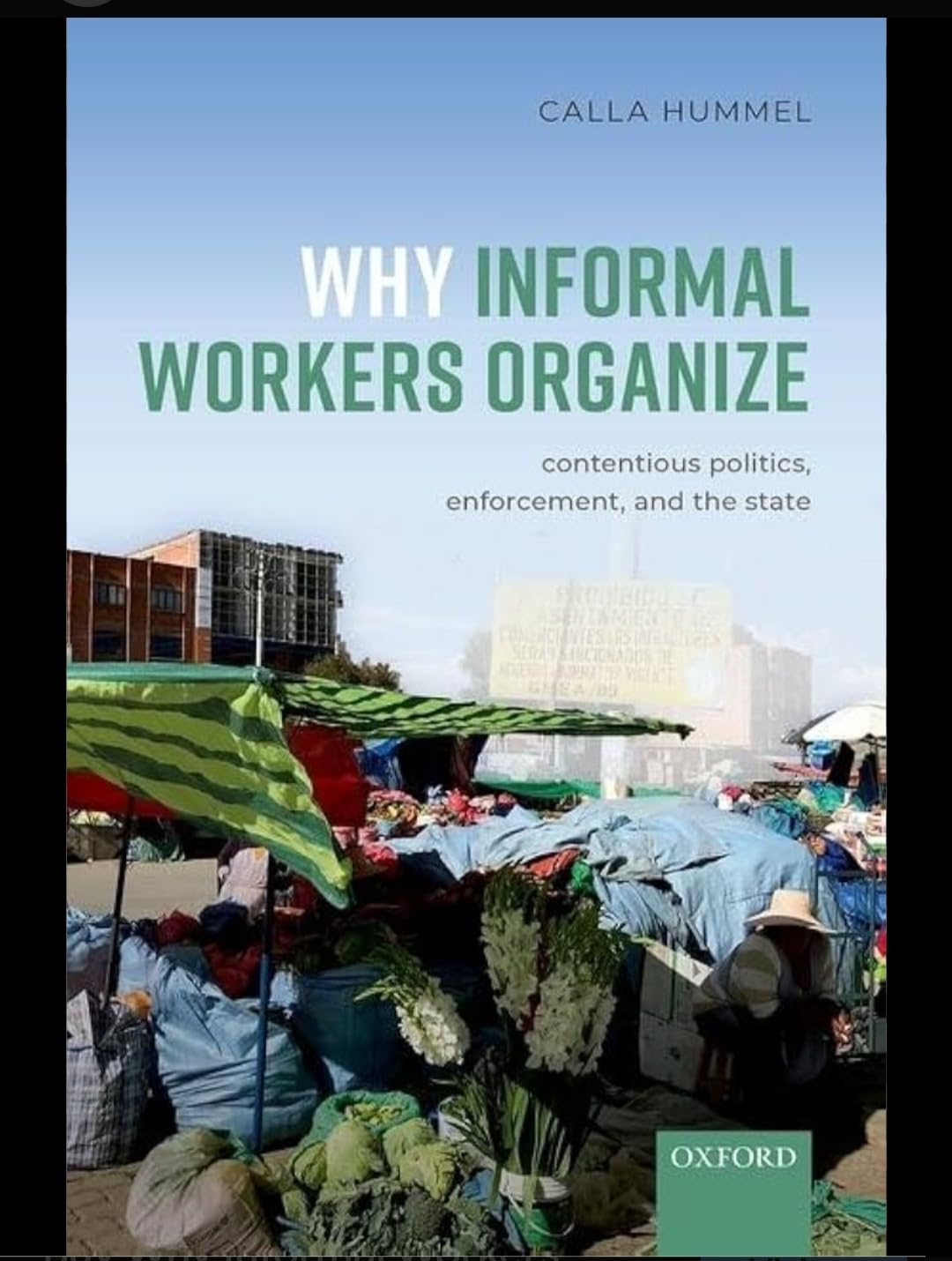 Buy Why Informal Workers Organize: Contentious Politics, Enforcement, and the State — BookShops.in