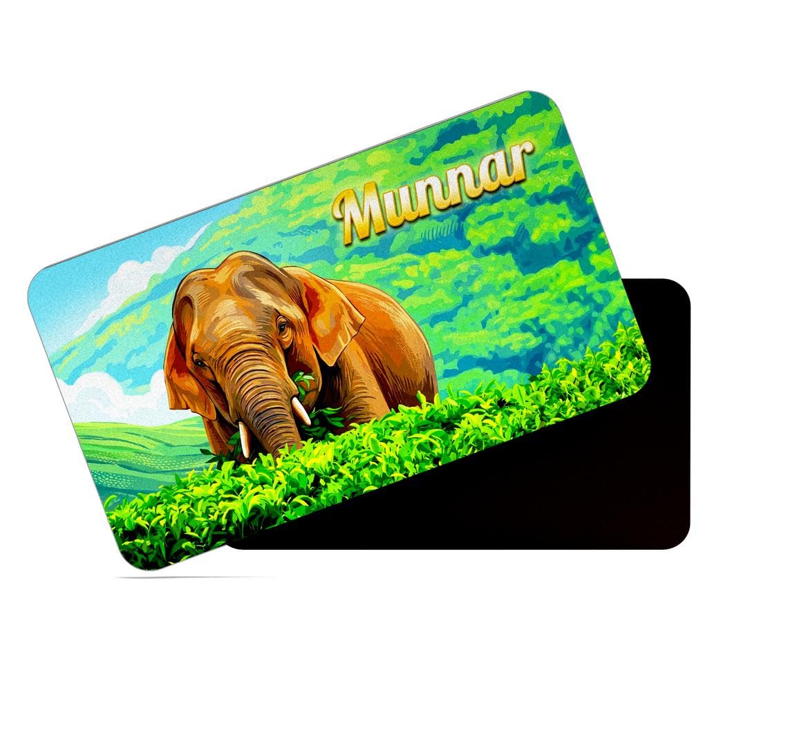 dhcrafts Rectangular Rubber Fridge Magnet/Magnetic Card Mult -20
