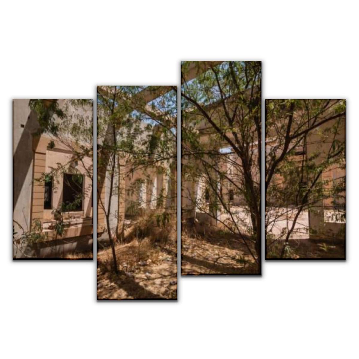 4 Panel Canvas Pictures acacia trees on the entrance yard of the abandoned luxury villa Home Decor Gifts Canvas Wall Art for your Living Room