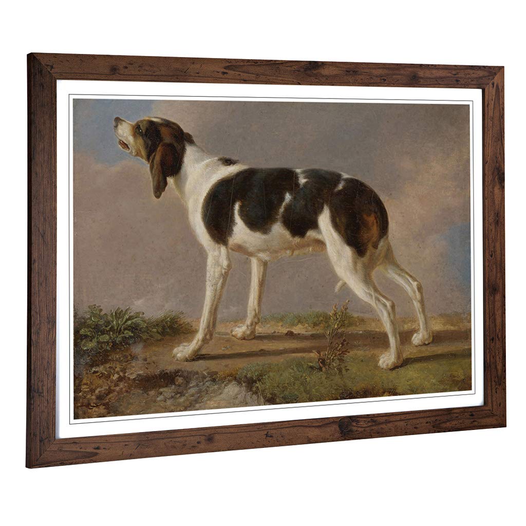 Big Box Art Framed Print of Jacques-Laurent Agasse Hound Design | Wall Art Picture | Home Decor for Kitchen, Living, Dining Room, Bedroom, Hallway, Office, Walnut, A2 / 24.5x18 Inch / 62x45cm
