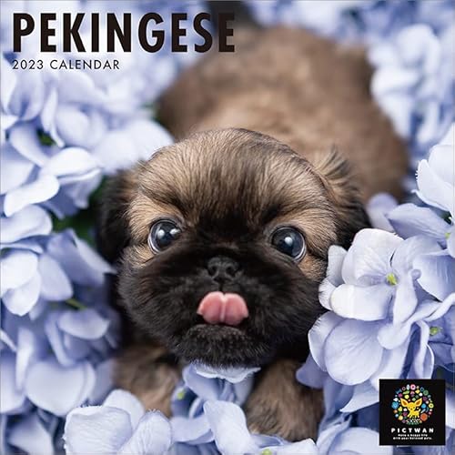 カレンダー ペキニーズの人気商品 通販 価格比較 価格 Com カレンダー ペキニーズの人気商品 通販 価格比較 価格 Com