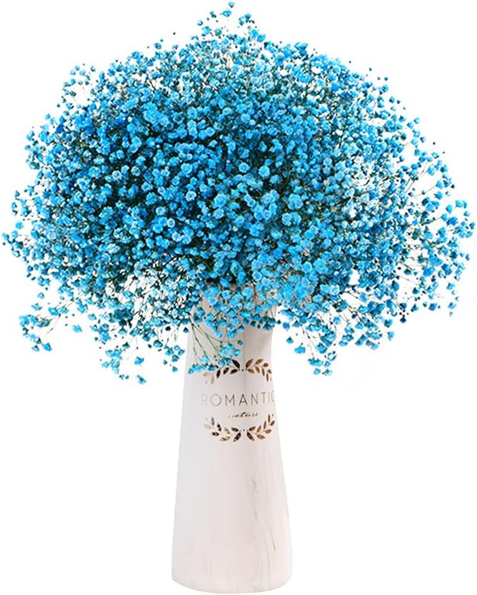 Gypsophile Séchée, - Baby's Breath - Fleurs Séchées De Gypsophile 100 Naturelles Veritable Bouquet De Fleurs Sechees Pour Mariage Bouquets De Mariee Vases Decoration D Herbe De Pampa