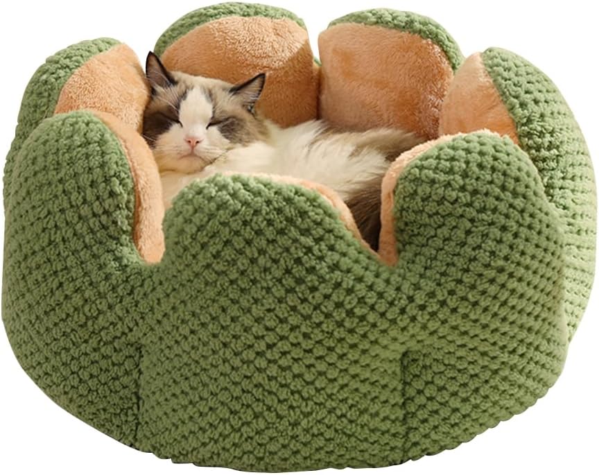 CWV Cute Cat Beds Kitten Beds, Soft Small Dog Beds, Washable Pet Beds for Puppy and Kitty, Cactus Shape, 23 Inch Medium Green