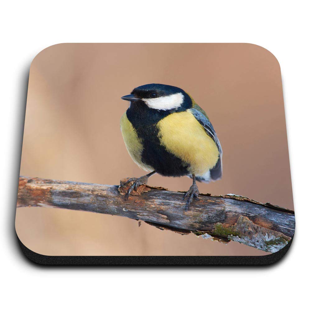 Destination Vinyl Ltd Multicolor 1 X Square Mdf Fridge Magnet - Yellow Great Tit English Garden Bird 16221