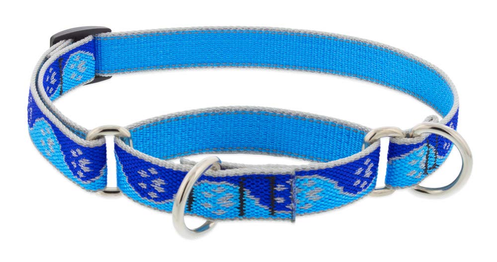 Collier martingale pour chien Lupine anti-fuite réglable bleu réfléchissant