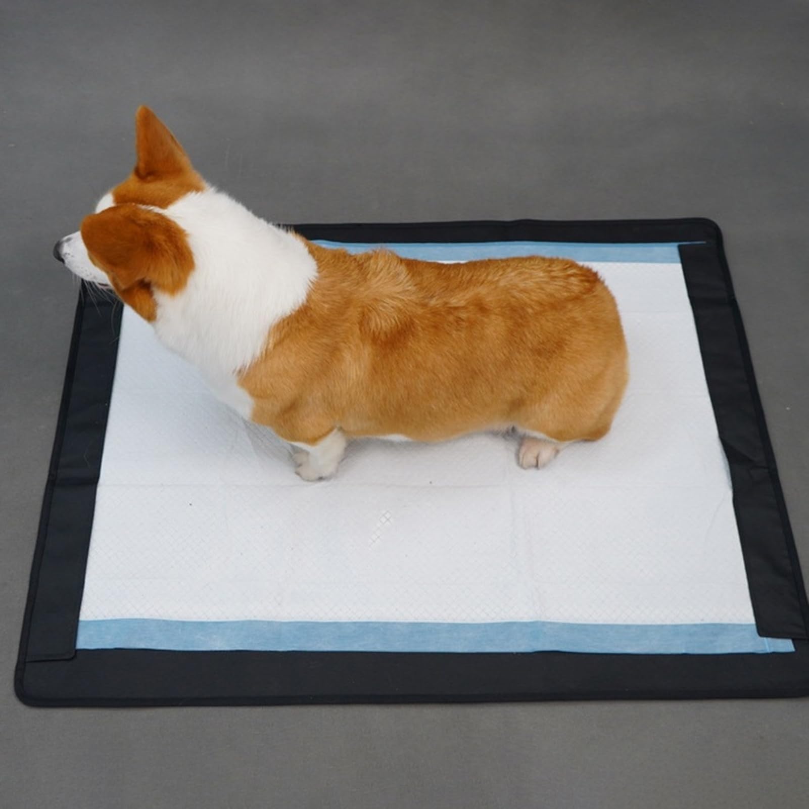 Windelhalter für Welpen, magnetisches Pinkelpad mit Saugnapf, wasserdichtes Hundetöpfchen-Tablett, Welpen-Trainingspads, Oxford-Stoff Schwarz L