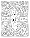 Fox Fires Coloring and Activity Book
