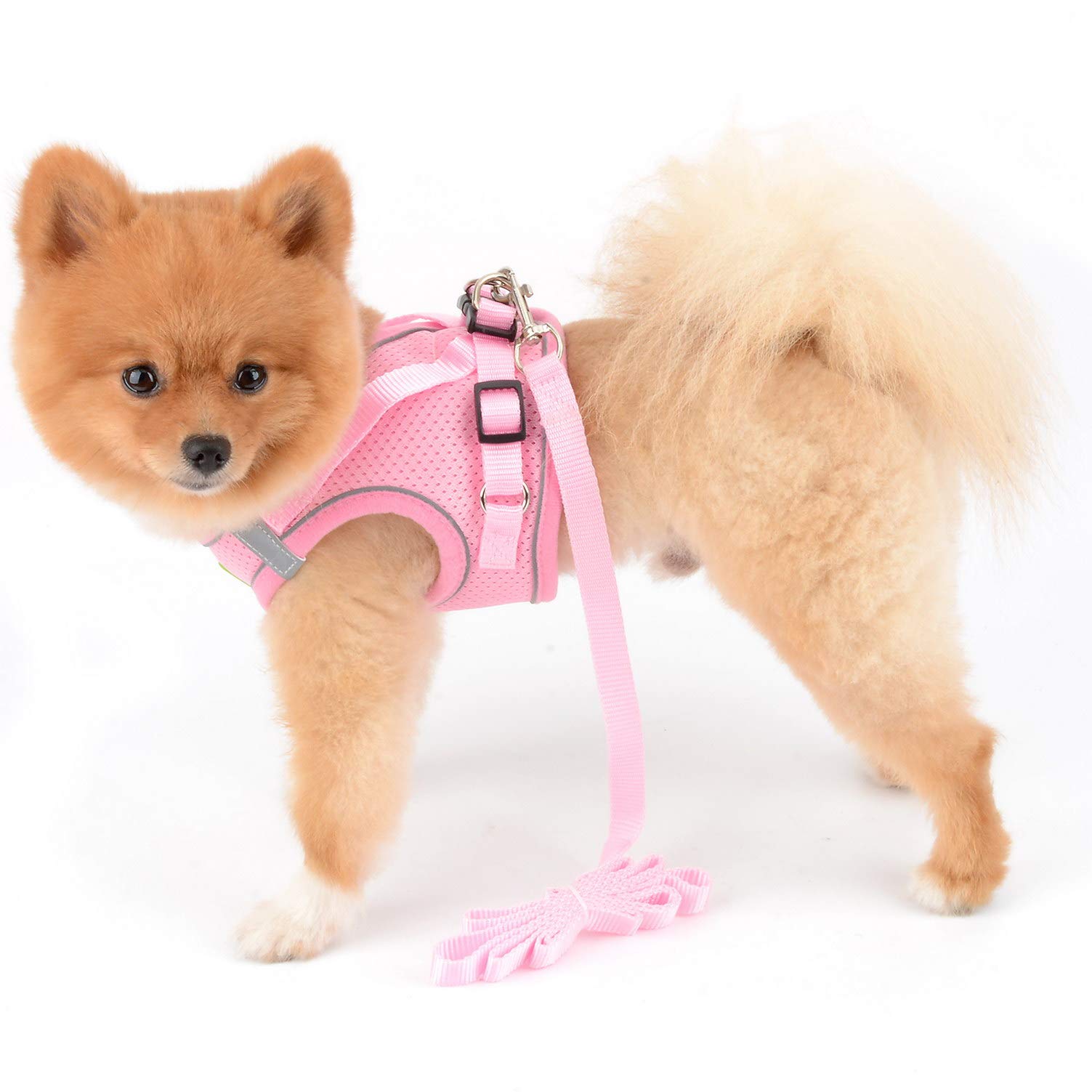 Reflektierendes Hundegeschirr Mit Leine – Weich, Atmungsaktiv, Für XXS Bis L, Rosa, Step-in-Design Mit Klettverschluss & D-Ring