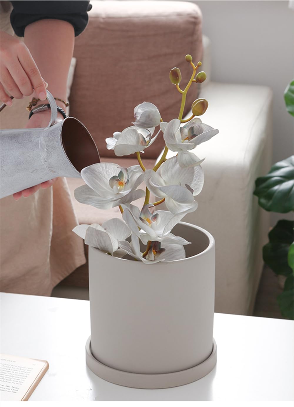 Amazon.co.jp: Blyzo 植木鉢 陶器鉢 大型 底穴付き 受け皿付き 観葉