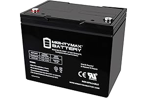 12V 75Ah Internal Thread Replacement Battery for The Watchdog Alarm System