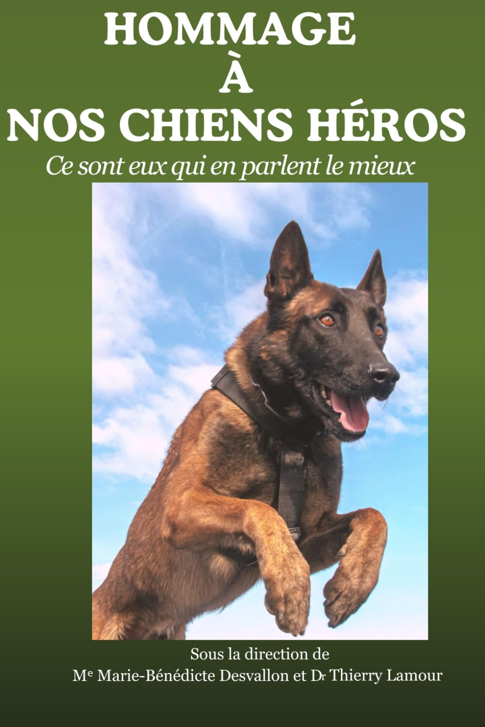 HOMMAGE Á NOS CHIENS HÉROS: Ce sont eux qui en parlent le mieux