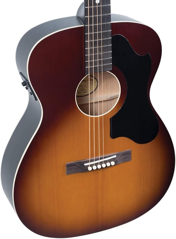 Recording King ROS-9-FE5-TS Series 9 000 Solid Top with Fishman EQ