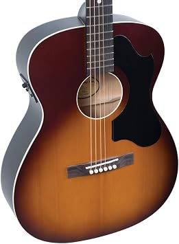 Recording King ROS-9-FE5-TS Series 9 000 Solid Top with Fishman EQ