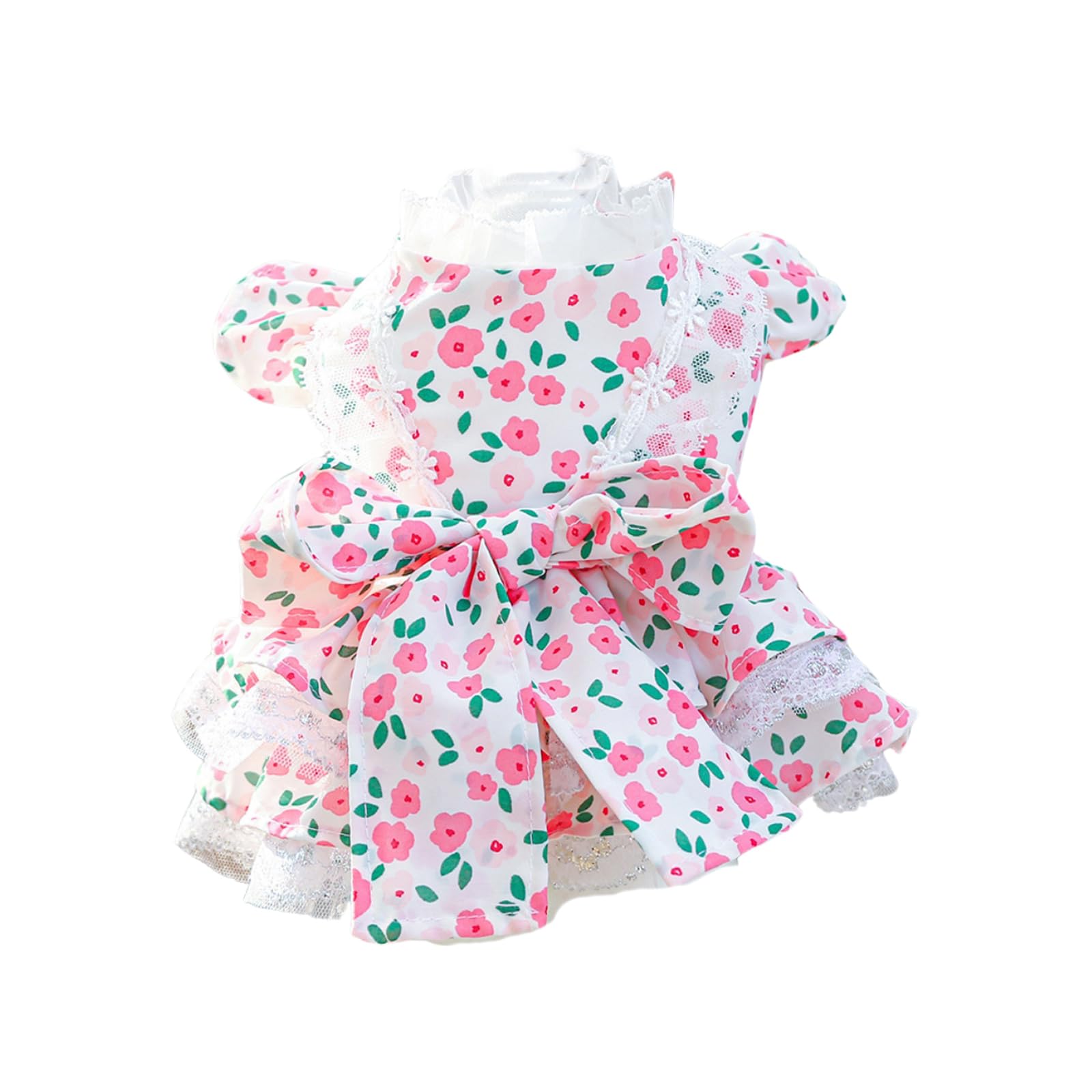 Robe pour chien princesse pour célébrer le lien unique avec votre animal