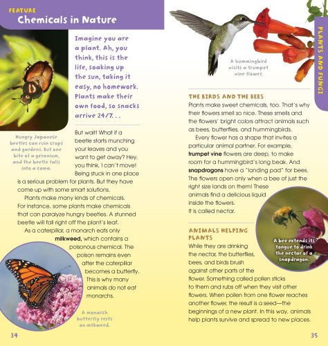 A Walk in the Woods: Into the Field Guide - Image 8