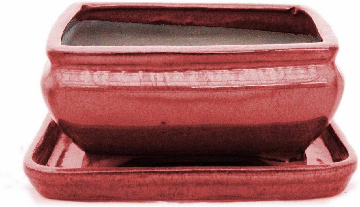 Ciotola Per Bonsai Exotenherz Con Piattino, Rettangolare Rosso G81 - 14,5x11,3x6,6 Cm, Smaltata