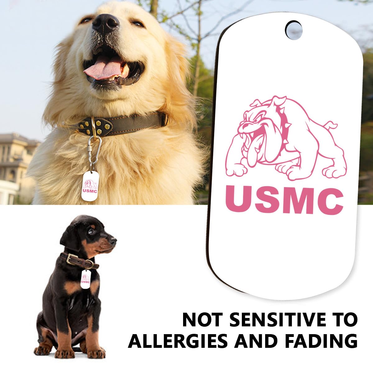 Amazon.co.jp: USMC 米海兵隊 ドッグタグ ネックレス アルペンダント