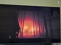 Review Image by gmidget316