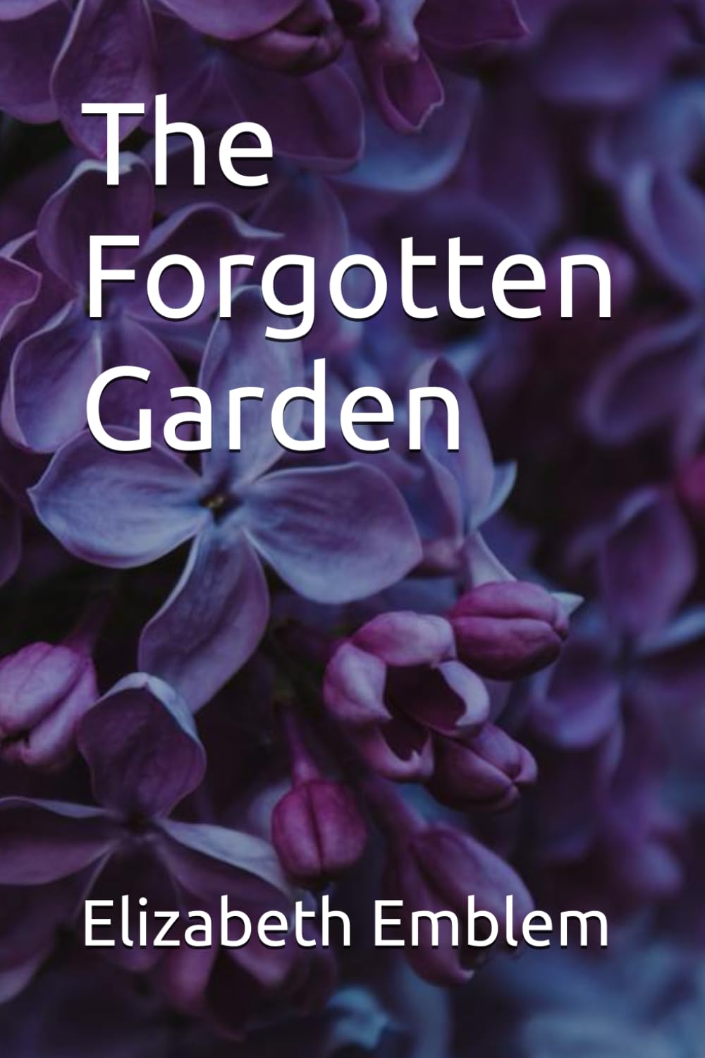 The Forgotten Garden