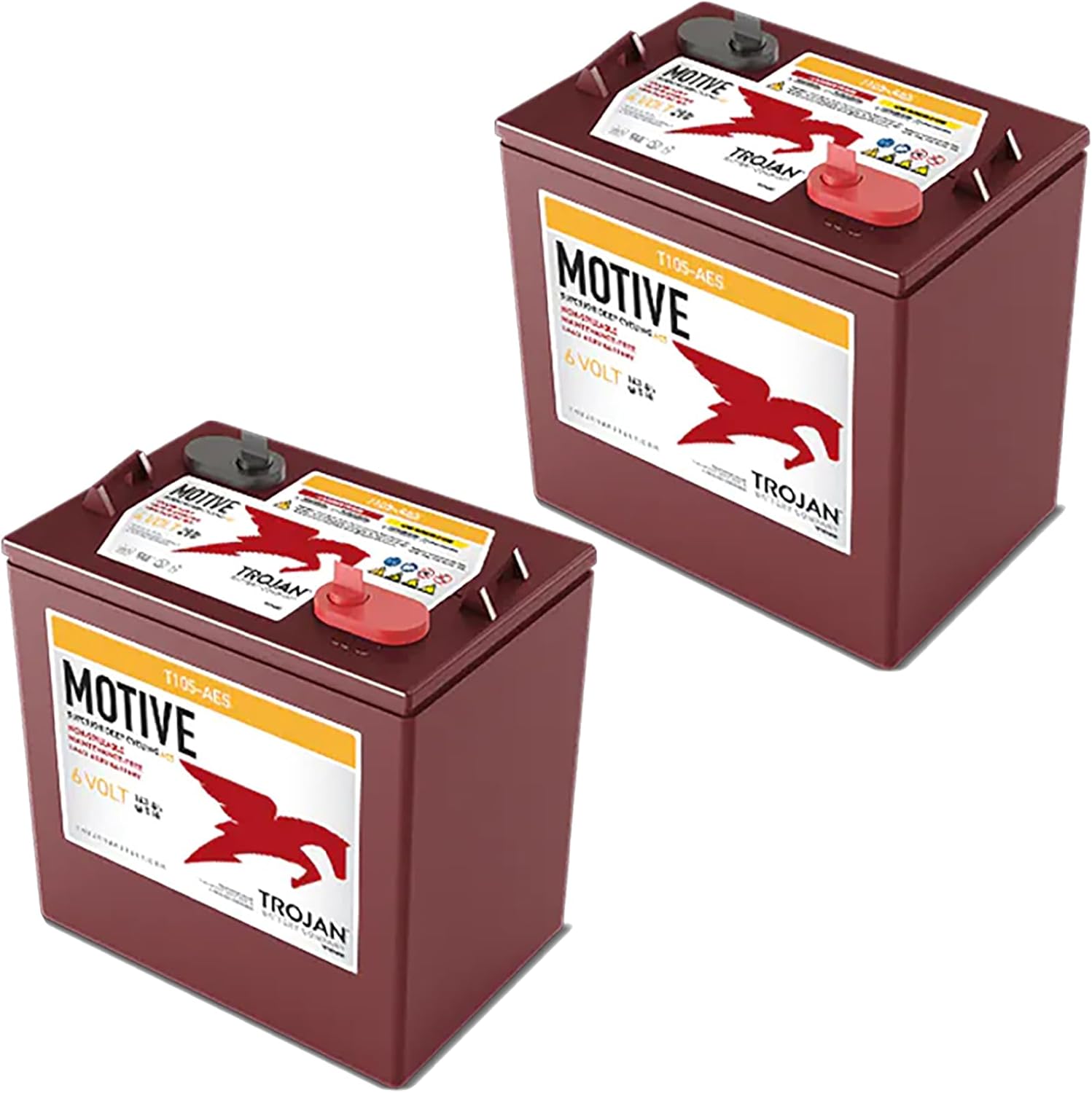 Trojan T105-AES 6V Superior Deep Cycling VRLA AGM Batteries, Maroon, Pack of 2