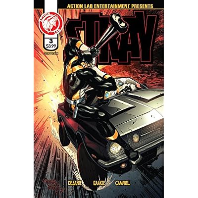 Stray #3