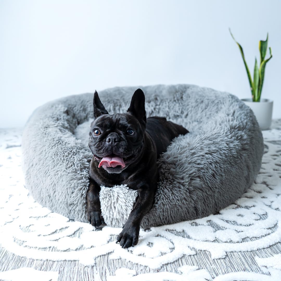 Anti-Anxiety Calming Donut Washable Large Bed for Medium Dog, Frenchie Friendly