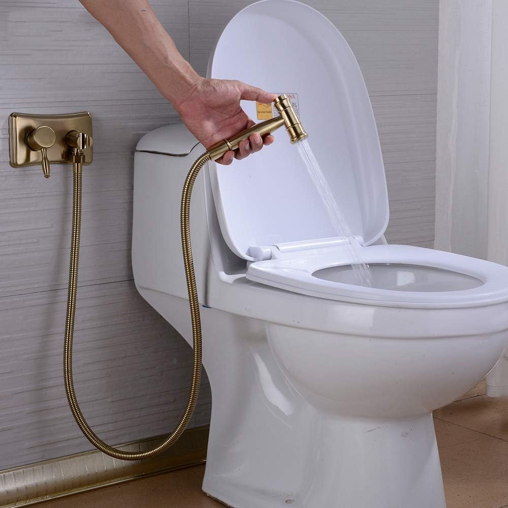 2 Function Handheld Sprayer Single HandleSpray Hot and Cold Water Wall Mounted Toilet Sprayer Bathroom Attachment,Black(Black)