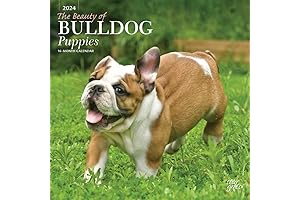 The Beauty of Bulldog Puppies | 2024 Wall Calendar