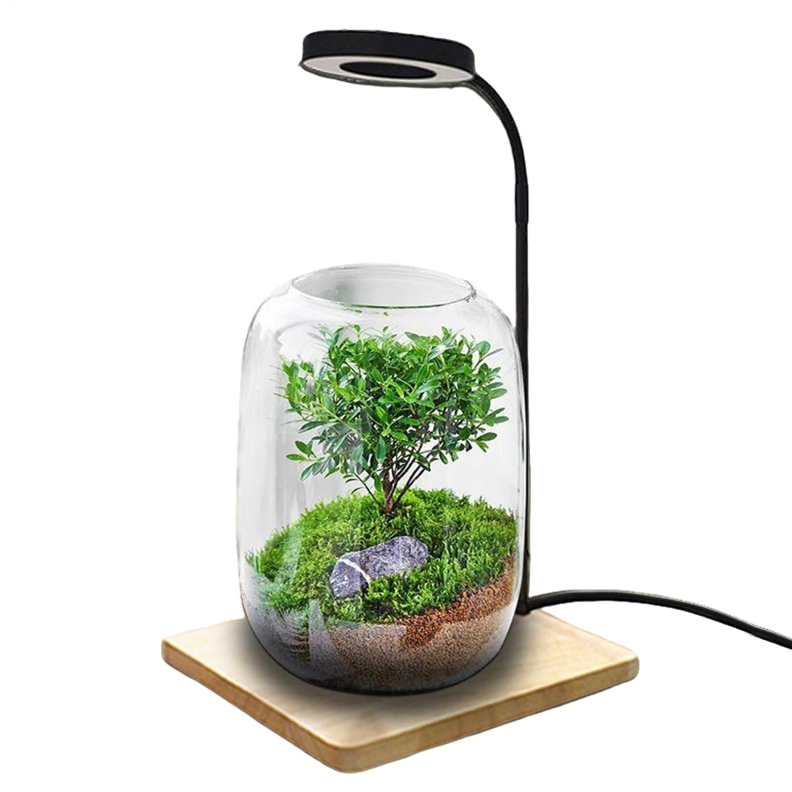 Grow LED Light - Full Spectrum Rotating Aquarium LED Lighting,Terrariums Grow Light Indoor | for Home Study Office Desk Display