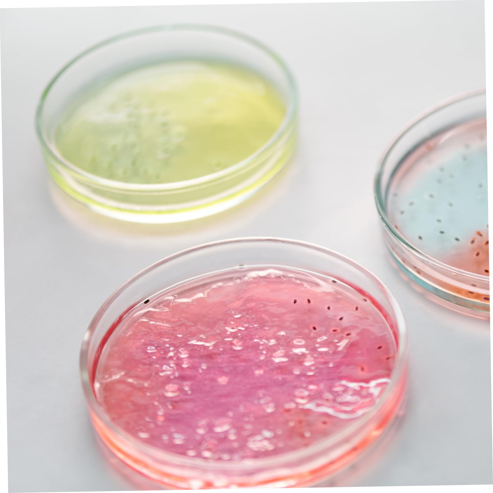 Gatuida 15piezas Placas De Cultivo De Transparente De Platos De Laboratorio Para Observación De Muestras Tapa Para Uso Científico y Cultivo Celular