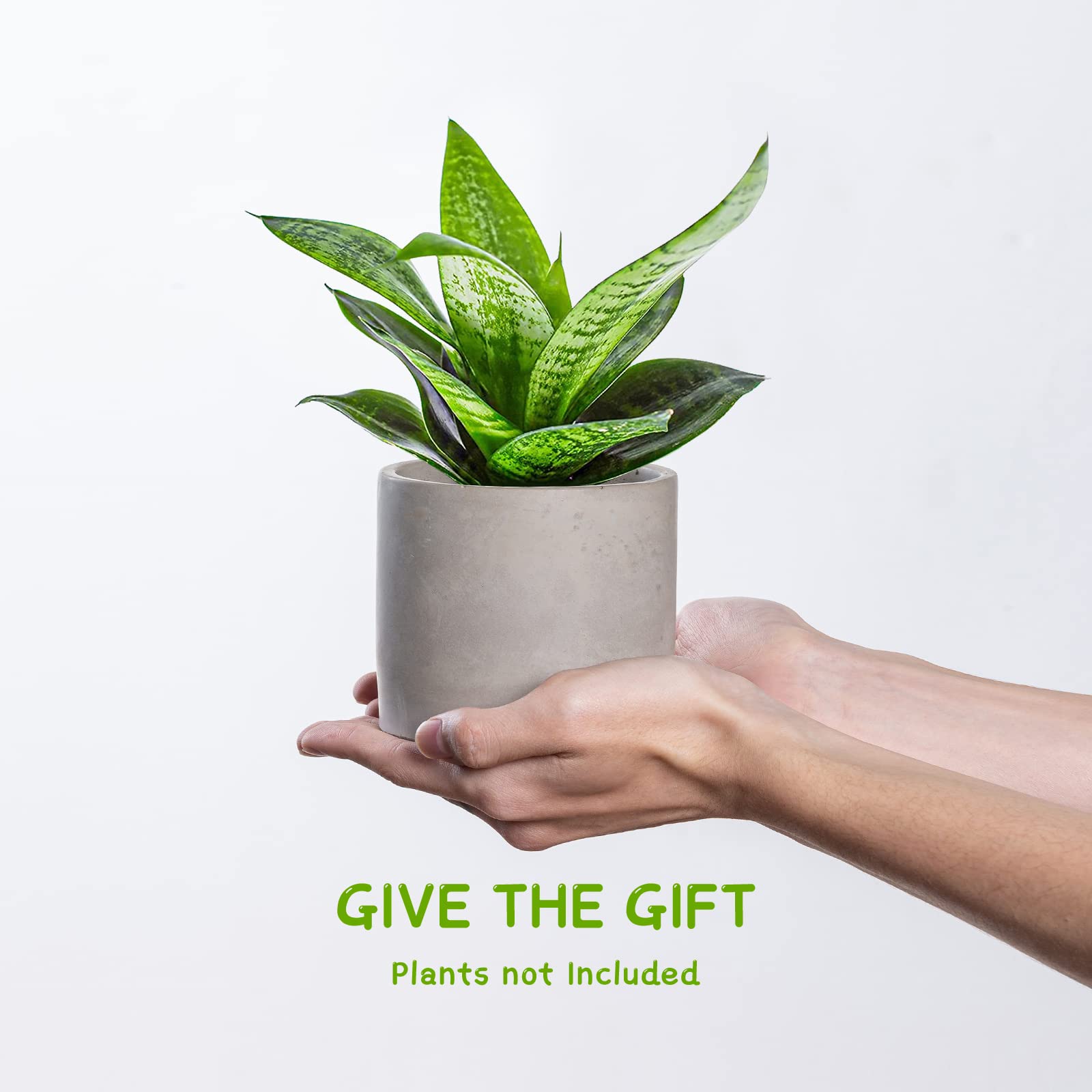Amazon.com : Ekirlin 3.5 inch Plant Pot Indoor, Grey Cement Flower