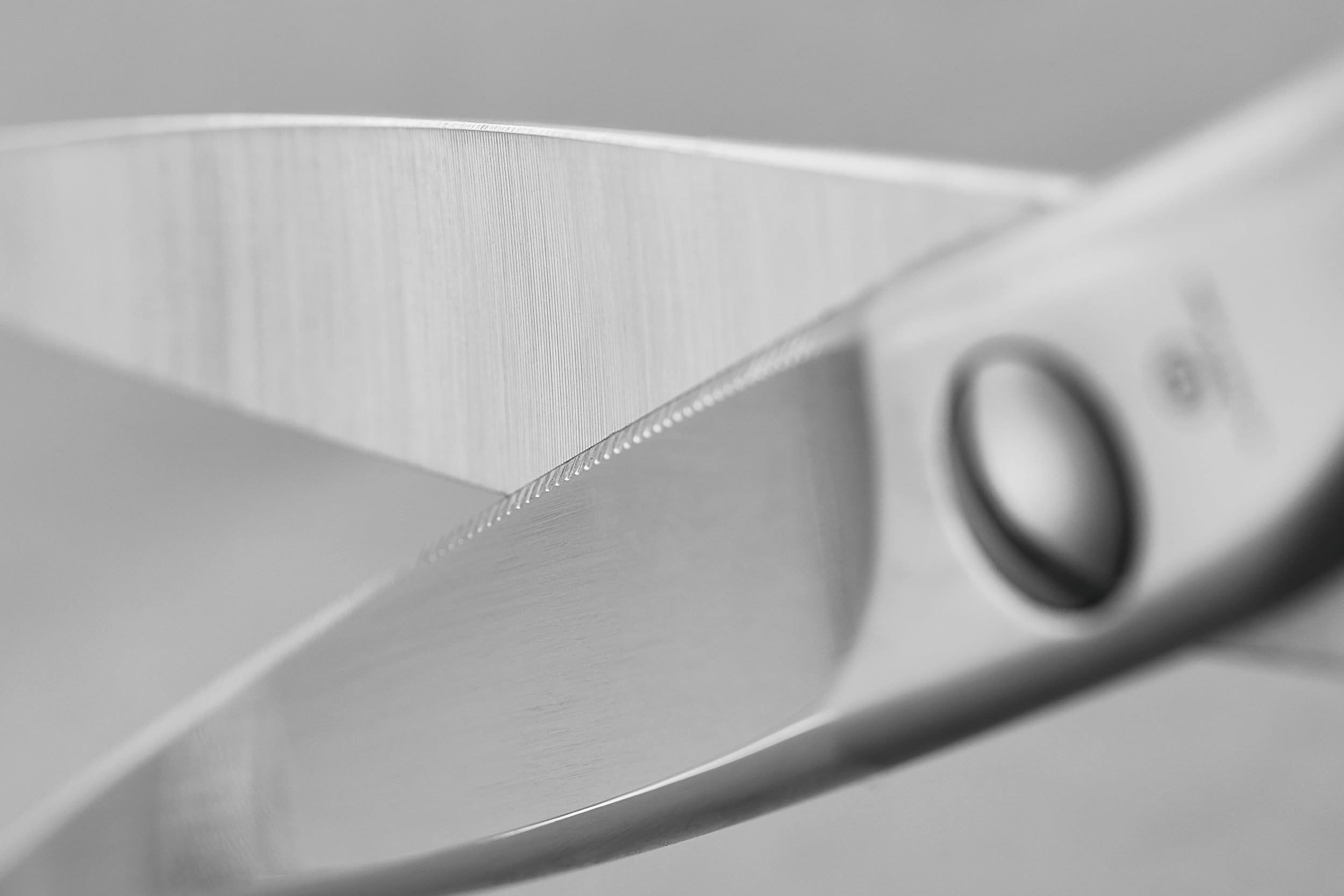 WÜSTHOF Küchenschere 20,3 cm Gesamtlänge, Silber