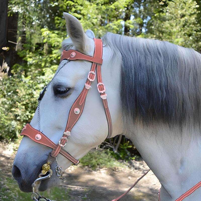 Licol pour chevaux en cuir PU et bouclerie métal premium