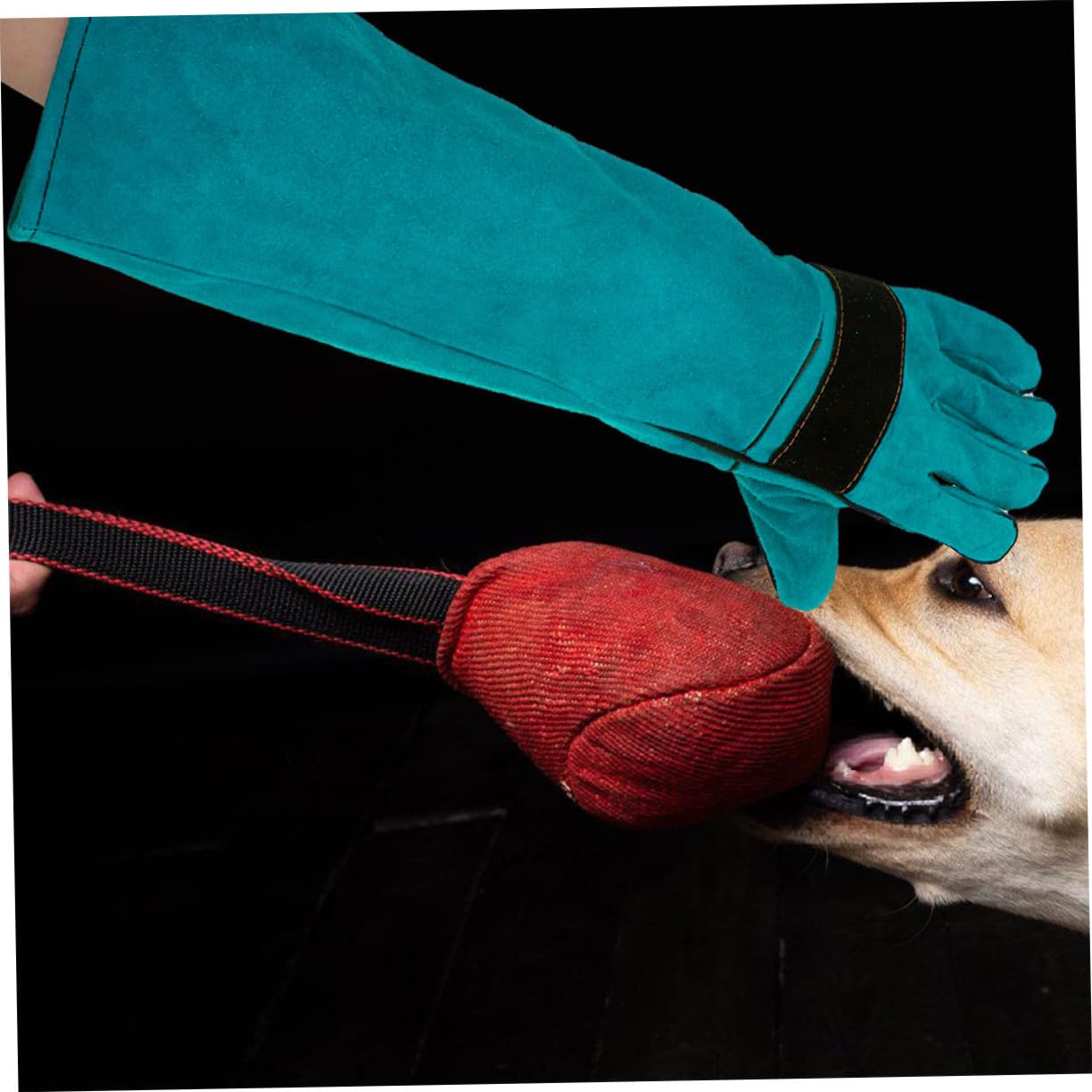 Guantes Antí Mordeduras para Gatos y Perros Largos de Sintético Protección Ergonómica para Cuidado y Alimentación Talla Azul