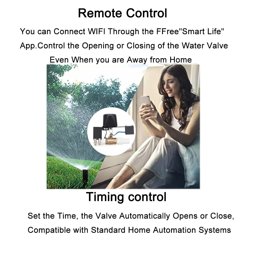 Contrôle intelligent de la valve, télécommande sans fil WiFi ou Bluetooth, minuteur, interrupteur d'arrosage intelligent pour arrêt automatique du gazoduc, prise européenne