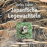  Japanische Legewachteln