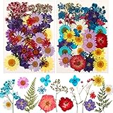Amplias Aplicaciones: las hermosas e impresionantes flores prensadas son adecuadas para la decoración de la cara, las uñas, el marcapáginas de flores secas, la joyería artesanal de bricolaje, la decoración de la carcasa del teléfono móvil, las velas hechas a mano, los accesorios fotográficos, etc.
