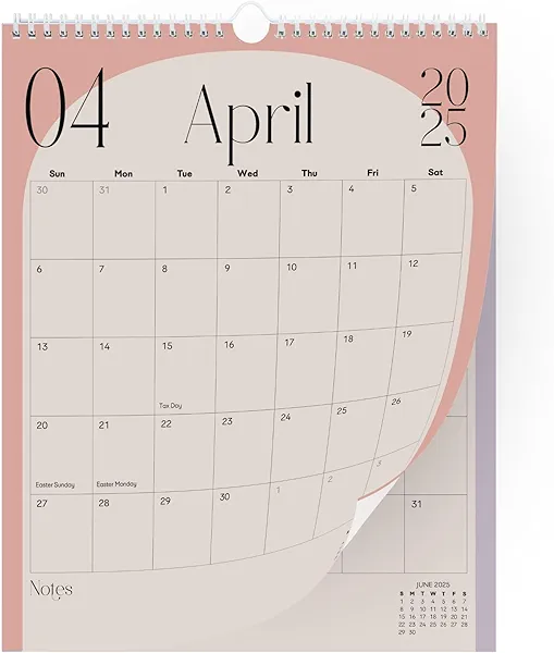 Paper Play Vertical Arc Colored Vertical Wall Calendar 2025-18 Month Calendar January 2025 to June 2026, 11x13.5 Inches Hanging Calendar with Spiral Twin-Wire Binding