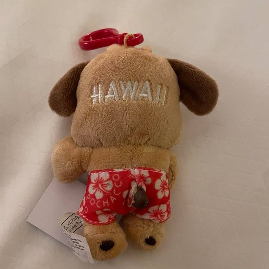 ハワイ　abcストア　ポチャッコ　ぬいぐるみ 新品・本物】ハワイ限定 ポチャッコ キーホルダー ぬいぐるみ