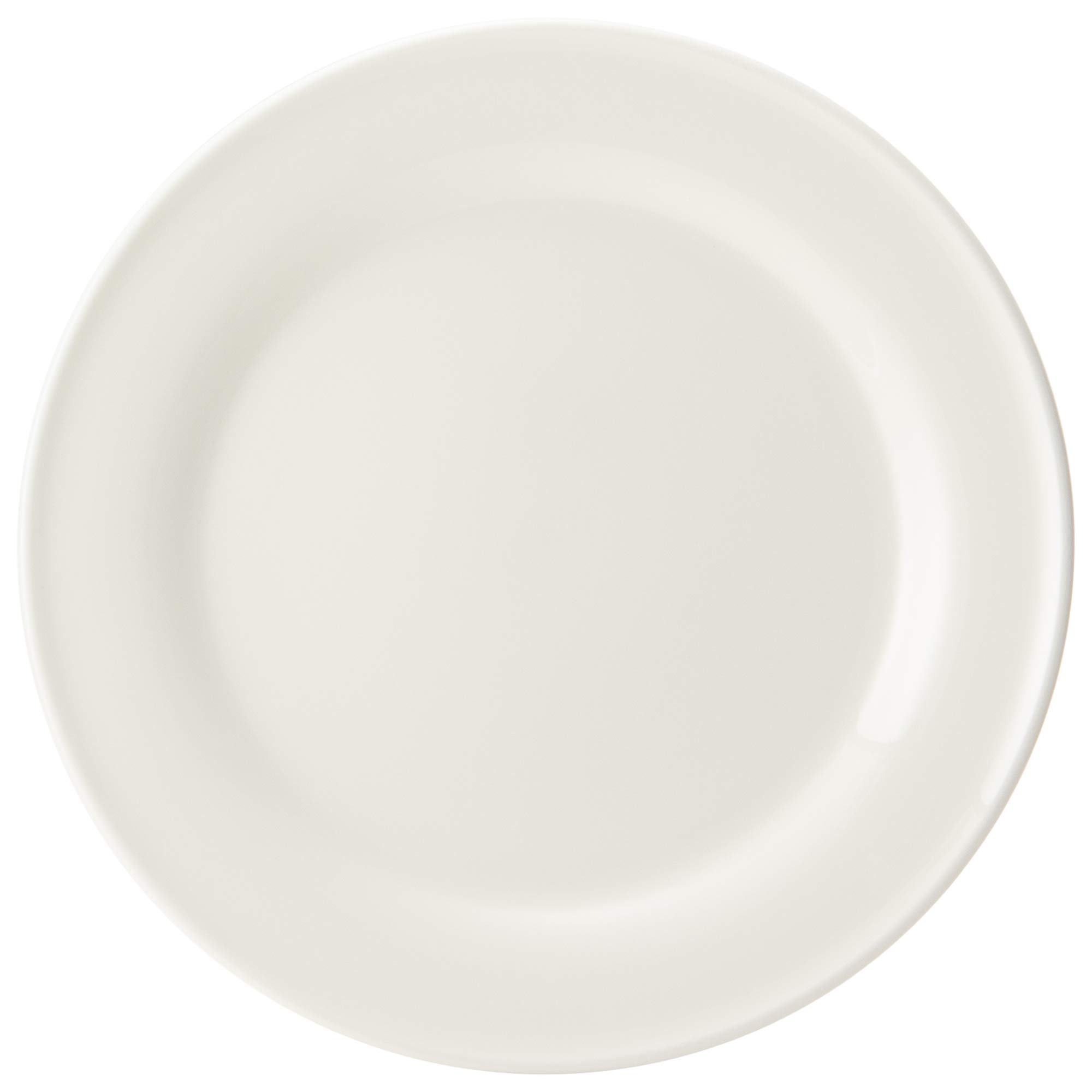 Amazon.com: Narumi 9795-1522 Plus Serum Dinner Plate, 9.8 inches