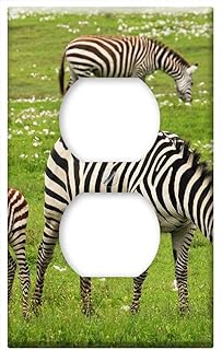 Switch Plate Outlet Cover - Baby Zebra Safari Serengeti Tanzania Africa Zebra
