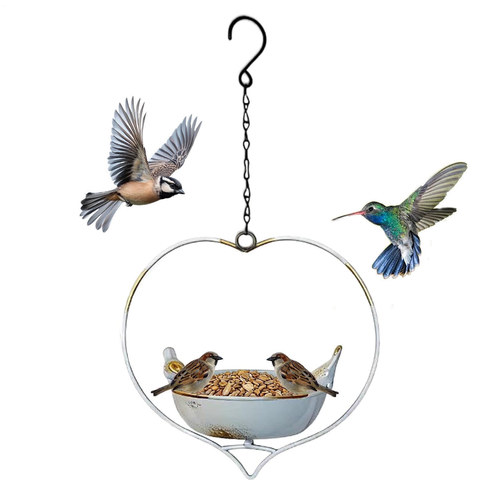 Mangeoire oiseaux extérieur en fer pour éloigner les nuisibles du balcon