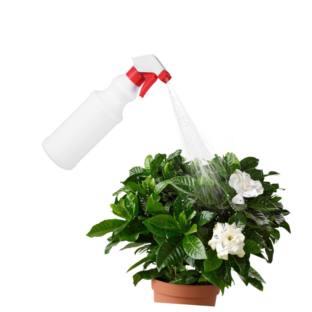 Healvian 12 pezzi Spray Plastica Ricaricabili con Nebulizzatore Fine Spruzzino Piante e Dosatore Spray Liquidi Design Antisgocciolamento e Materiale Durevole per Domestico e Giardinaggio