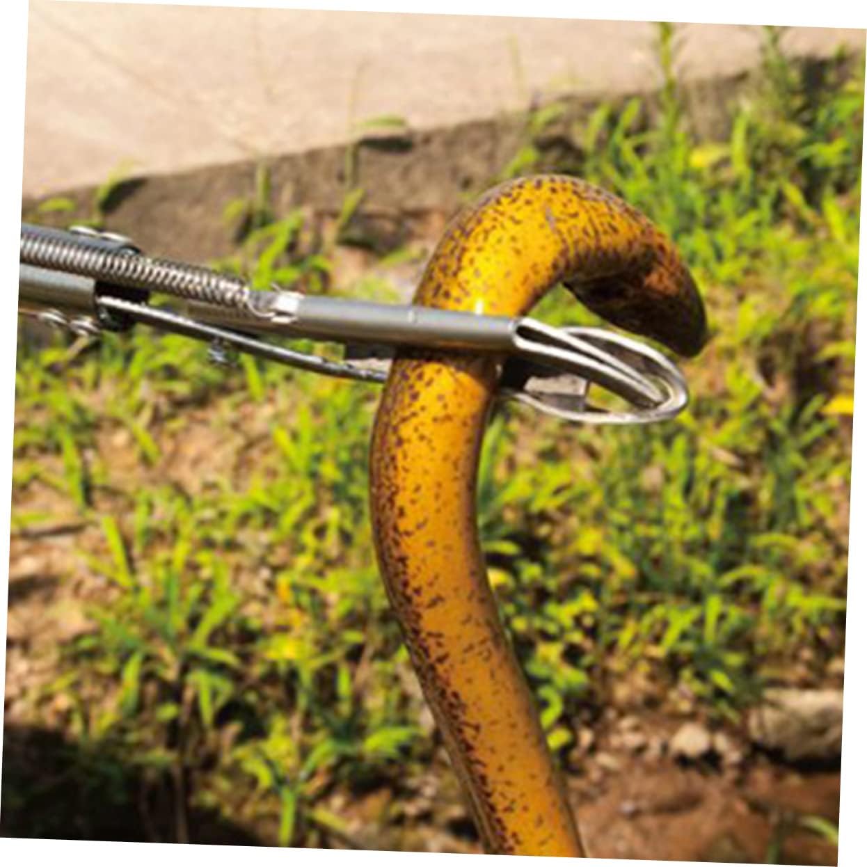 Stainless Steel Crab Tongs Multi-function Eel Clip Tool for Seafood Heavy Duty Grip for Catching Crab Eel and Loach Sturdy and Easy to Clean