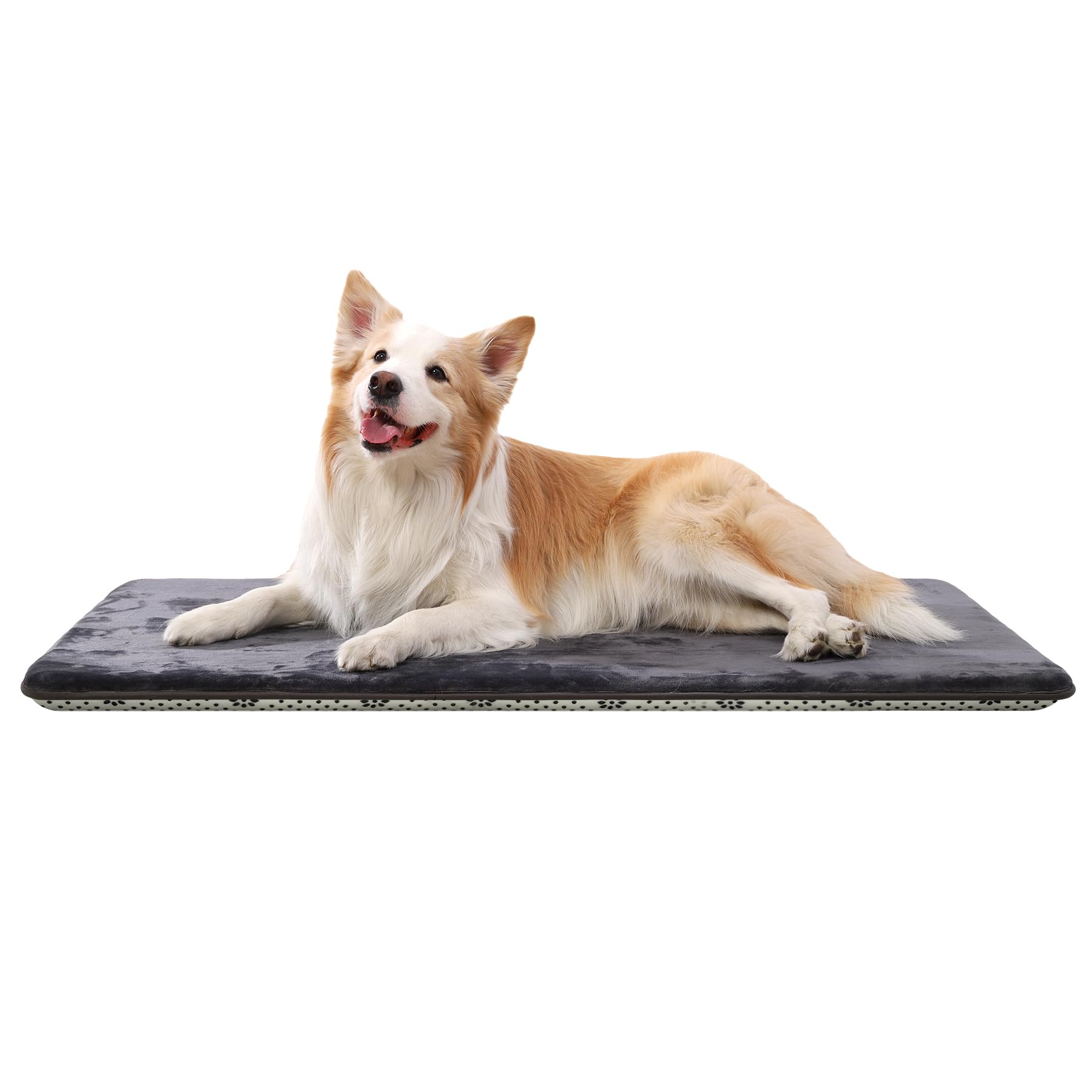 BeBen Super Soft Orthopedic Dog Bed for Crate Washable Dog Beds Large Sized Dog Mat Anti-slip Soft Flannel Dog Crate Pad Dog Bed Medium Size Dog, 41" x 27", Dark Gray (B0CTJW5BL4) Amazon Price History, Amazon Price Tracker